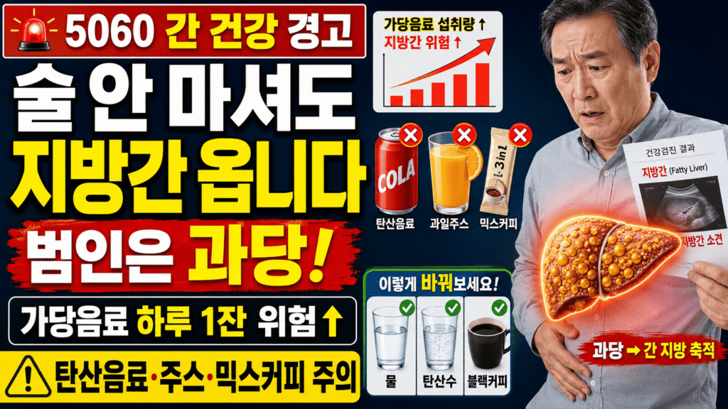 지방간 과당 DNL 메커니즘 가당 음료 53% 위험 증가 5060 간 건강