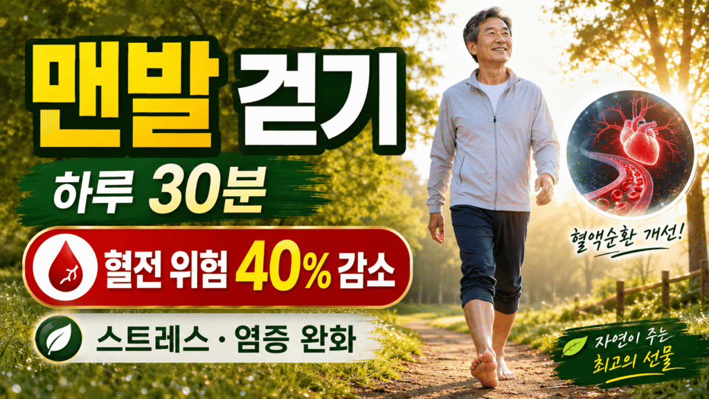 맨발 걷기 효과 어싱 혈전 40% 감소 5060 실천법