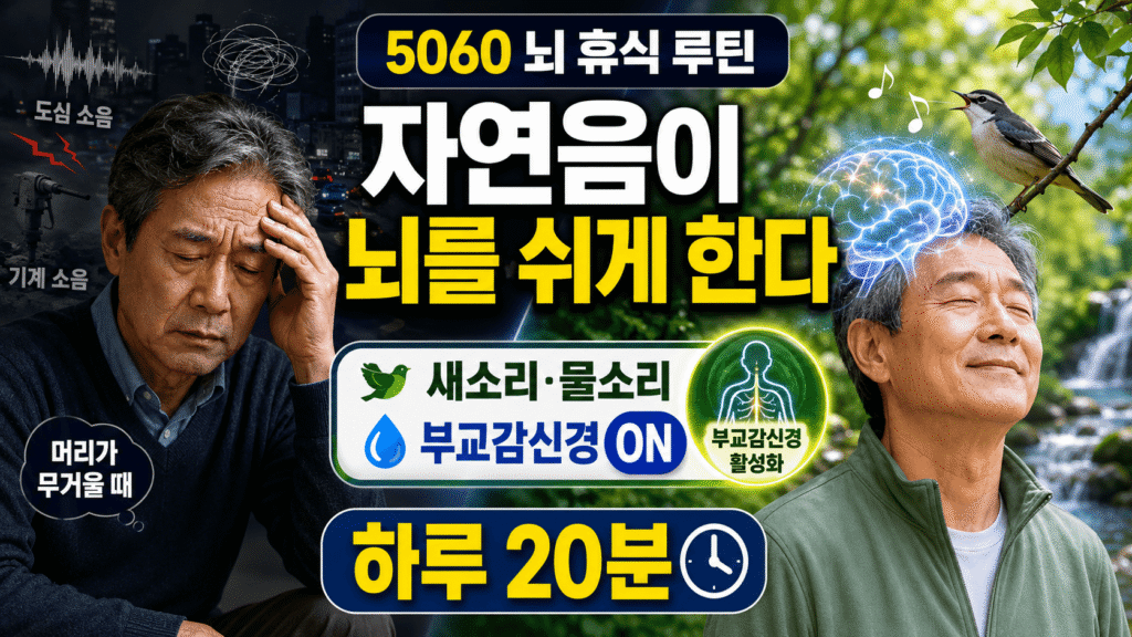 자연음 뇌 건강을 회복한다: 숲 소리 20분이 코르티솔을 끄는 이유 자연음 뇌 건강 숲 소리 빗소리 부교감신경 스트레스 코르티솔 60대