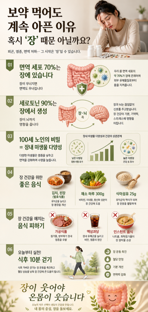 장 건강 마이크로바이옴 면역 세포 70% 장내 미생물 시각화